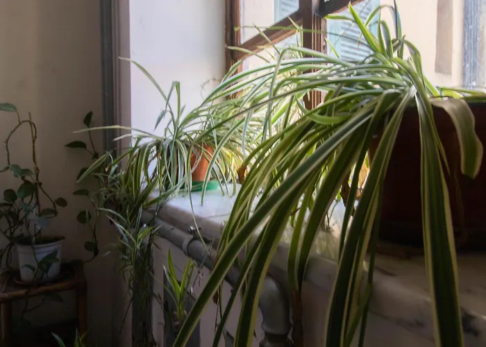 Porta Pia - Cozy Flat Apartment